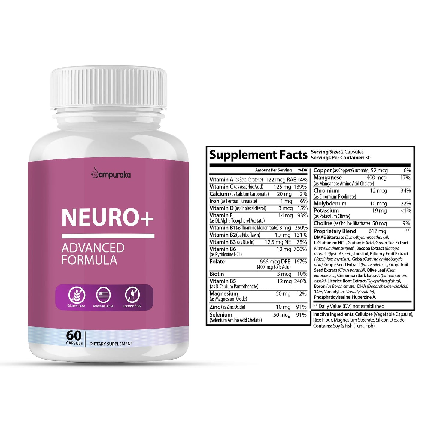 Neuro Plus brain and Focus - sampuraka